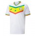 Billige Senegal Hjemmebane Fodboldtrøjer VM 2022 Kortærmet